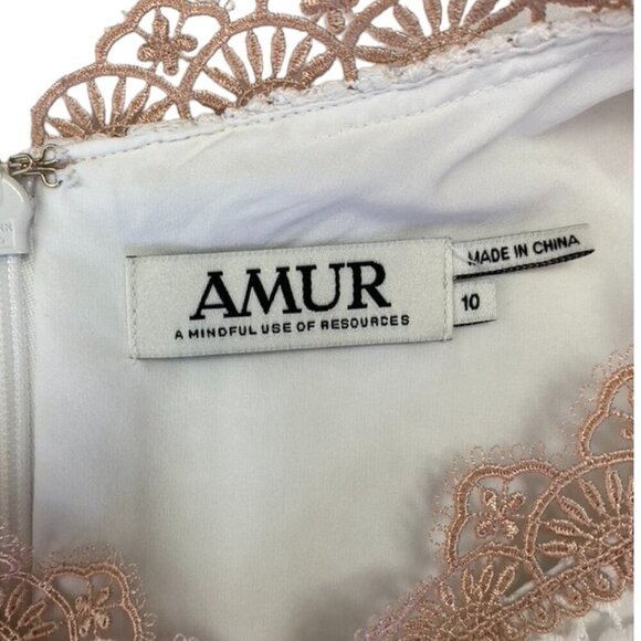 Amur Topeka Lace and Silk Dress - Picture 10 of 14